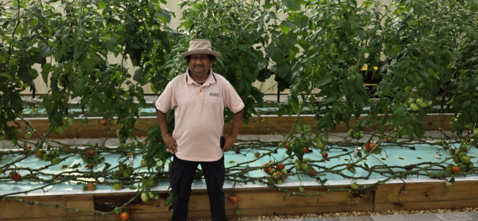 Ratnakar Rai, hydroponic plant expert at Oxford Family Farms