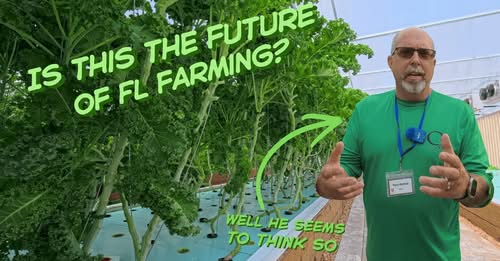 Tony Oxford, farmer and agricultural entrepreneur at Oxford Family Farms